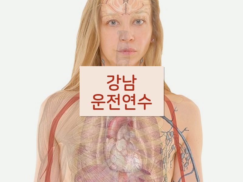강남운전연수 후기