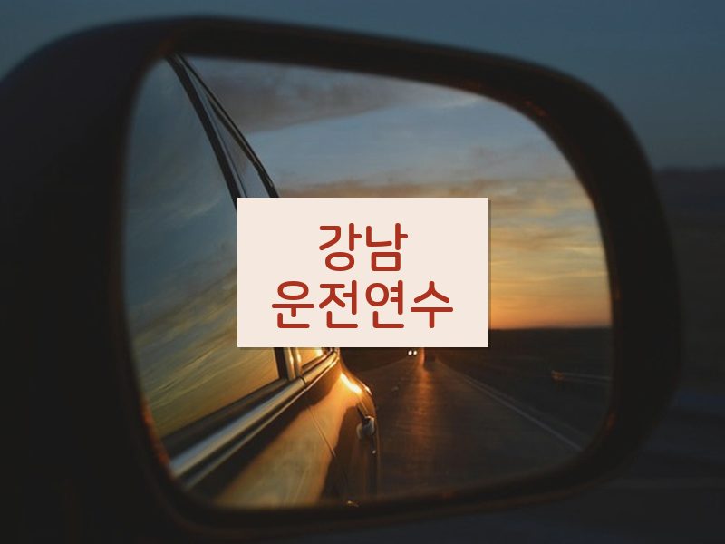 강남운전연수 후기