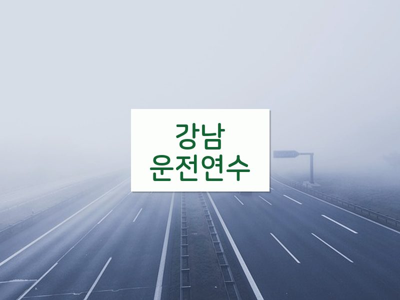 강남운전연수 후기