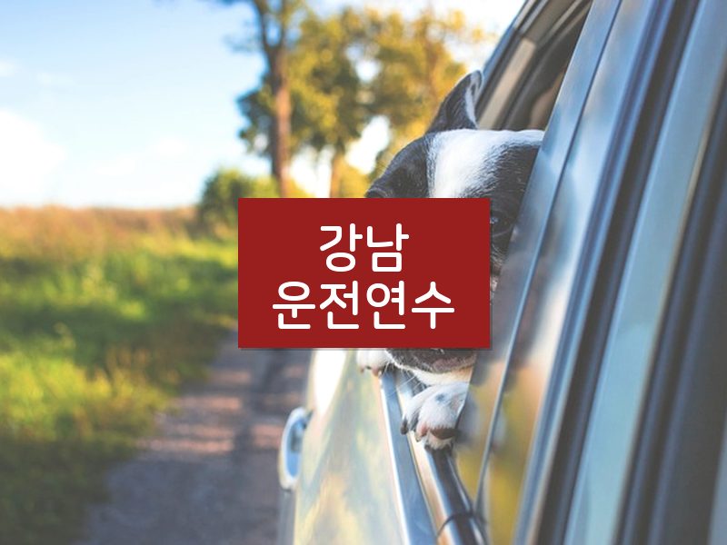 강남운전연수 후기