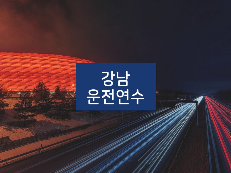 강남운전연수 후기