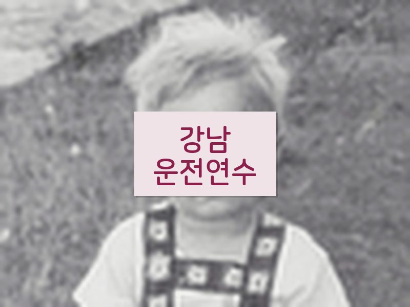 강남운전연수 후기
