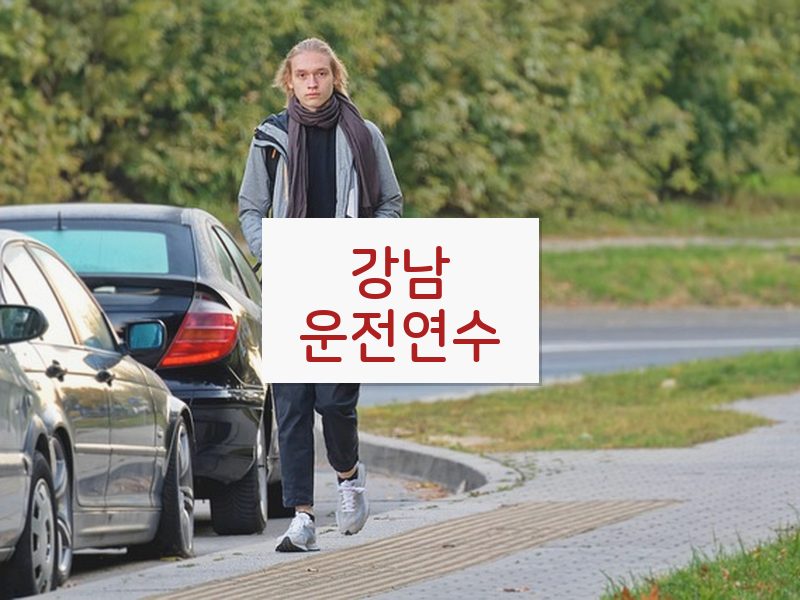강남운전연수 후기