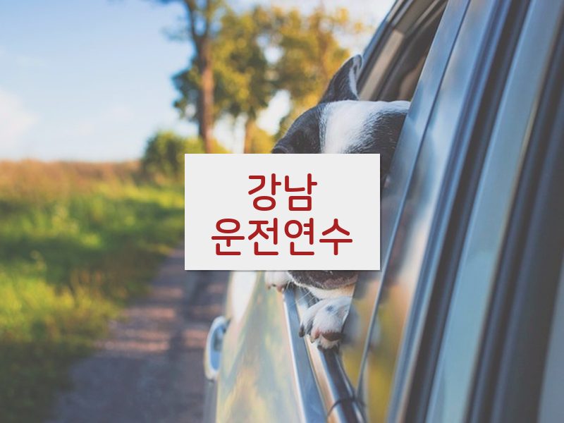 강남운전연수 후기