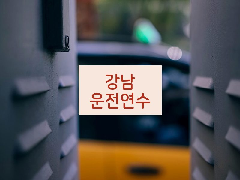 강남운전연수 후기