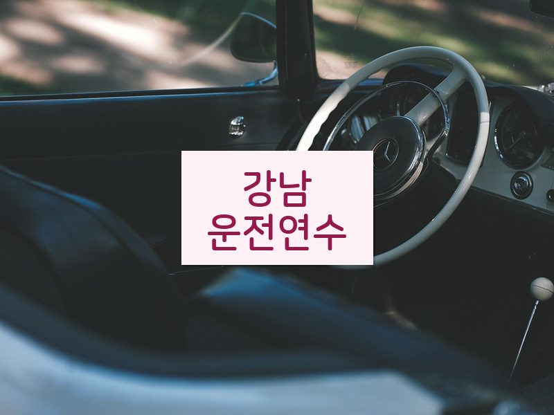 강남운전연수 후기