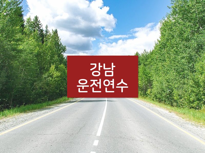 강남운전연수 후기