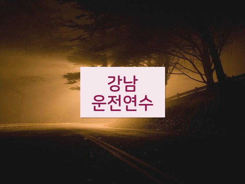 강남운전연수 후기