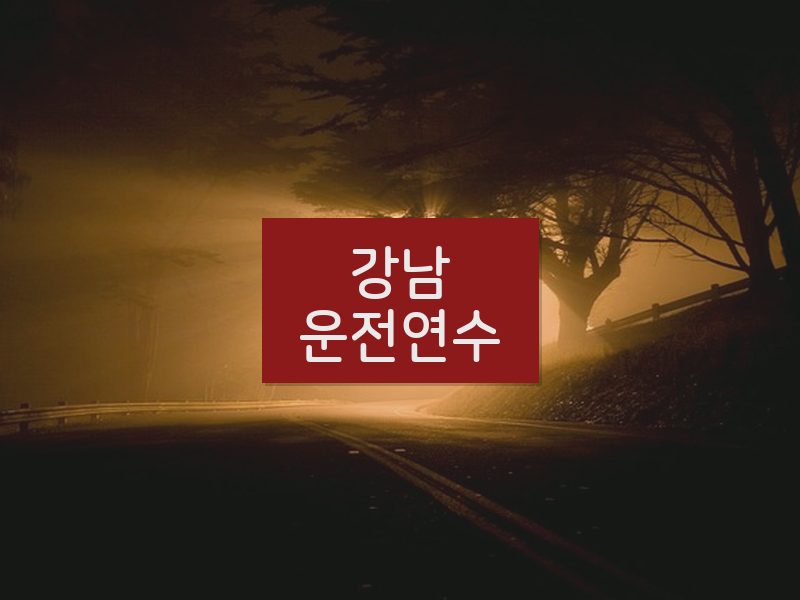 강남운전연수 후기