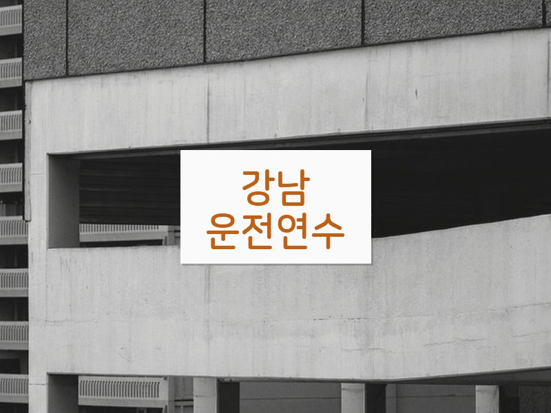 강남운전연수 후기