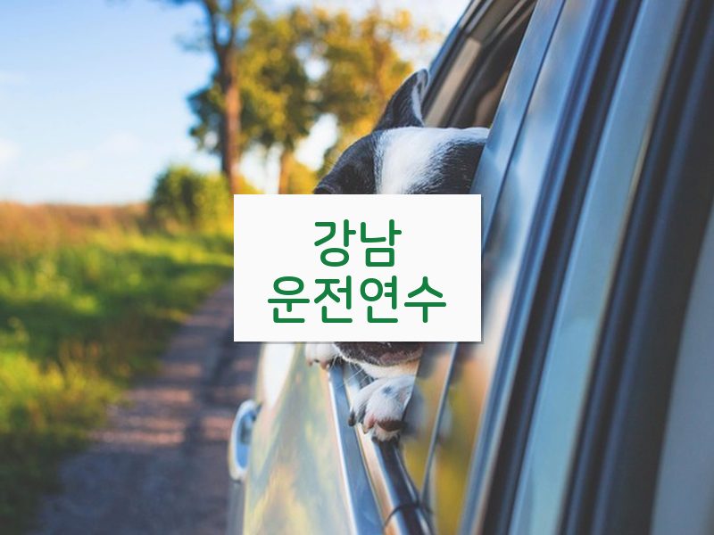 강남운전연수 후기