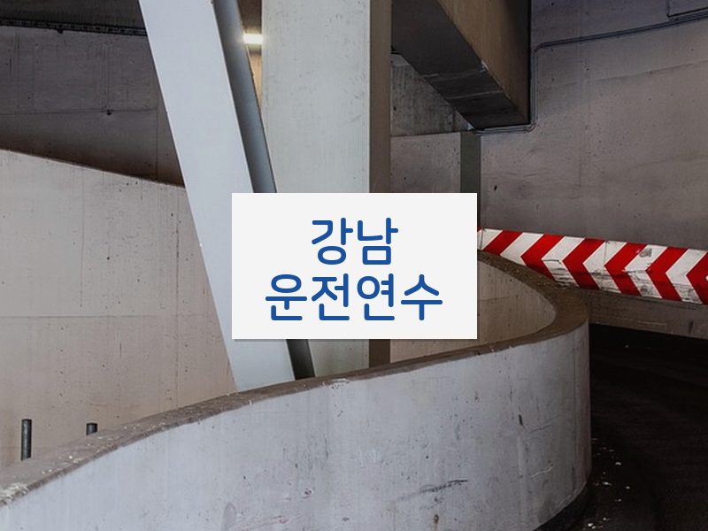 강남운전연수 후기