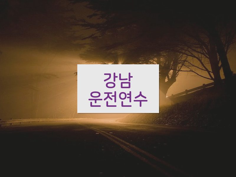 강남운전연수 후기