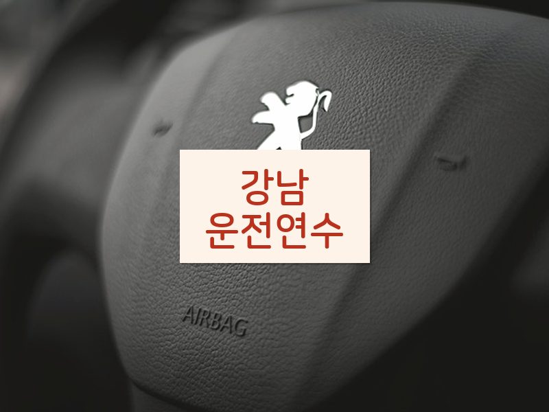 강남운전연수 후기