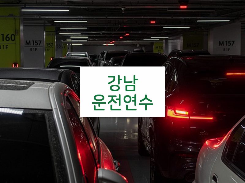 강남운전연수 후기