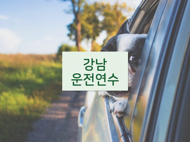 강남운전연수 후기