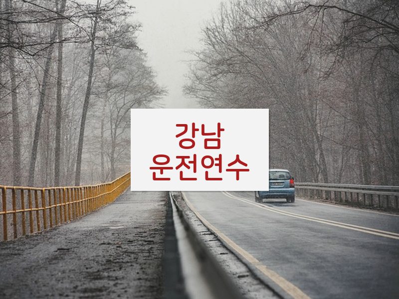 강남운전연수 후기