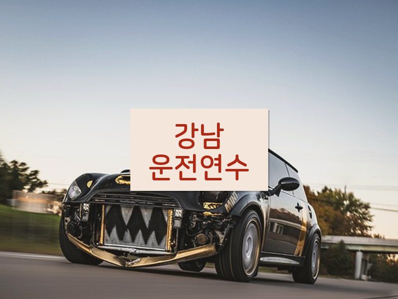 강남운전연수 후기