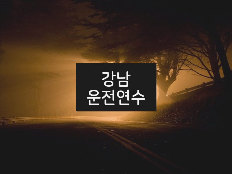 강남운전연수 후기
