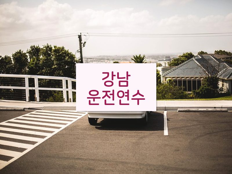 강남운전연수 후기