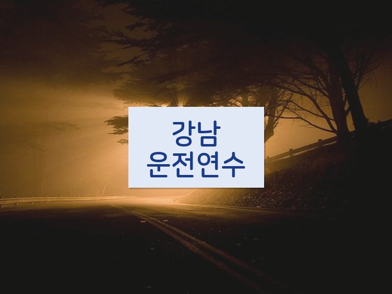 강남운전연수 후기
