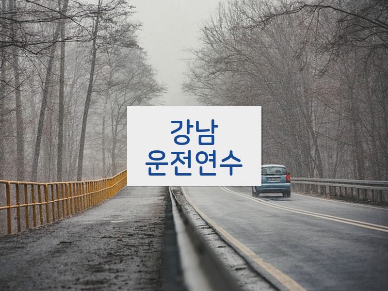 강남운전연수 후기