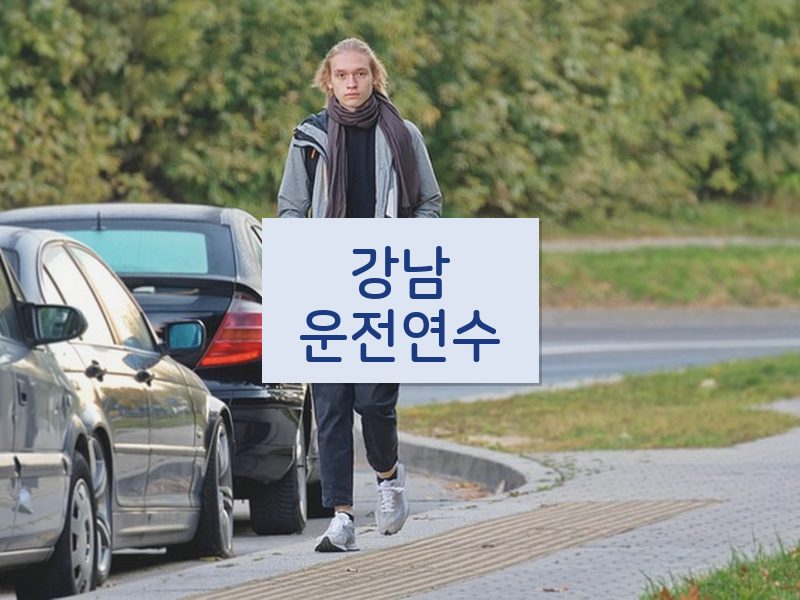 강남운전연수 후기
