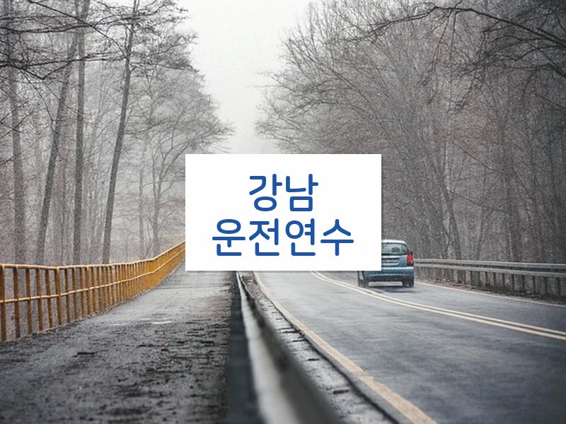 강남운전연수 후기