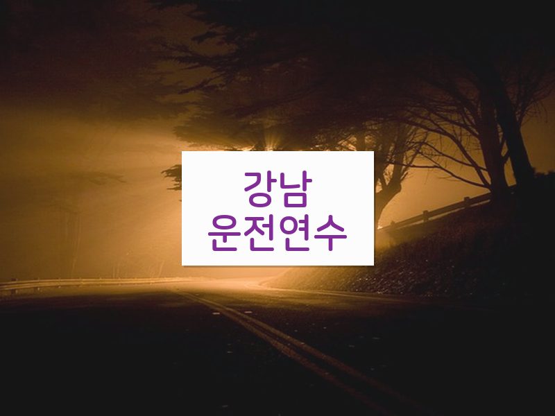 강남운전연수 후기