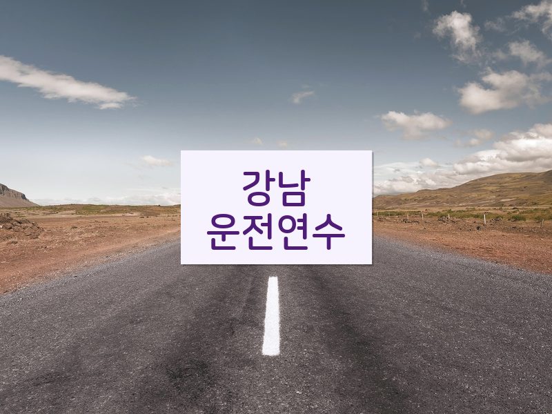 강남운전연수 후기