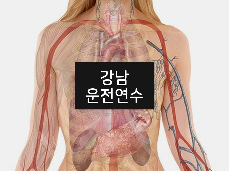 강남운전연수 후기