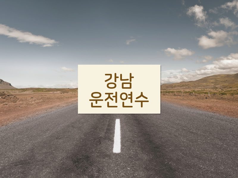 강남운전연수 후기