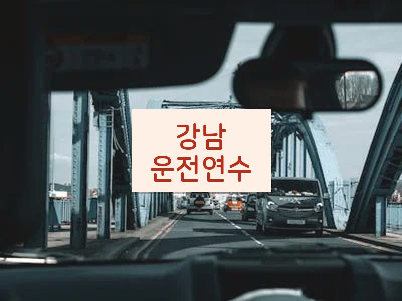 강남운전연수 후기