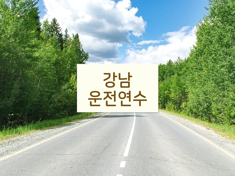 강남운전연수 후기