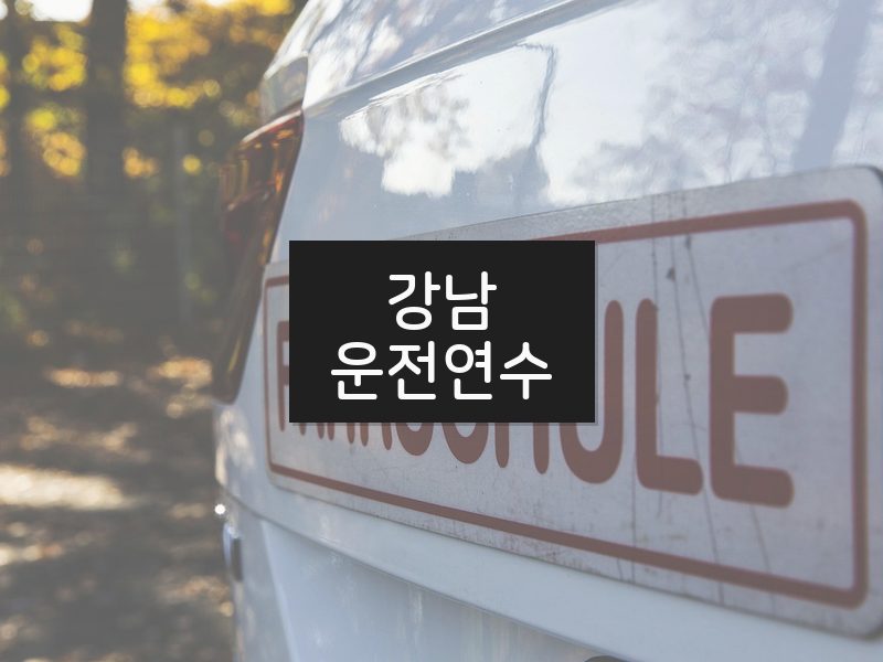 강남운전연수 후기