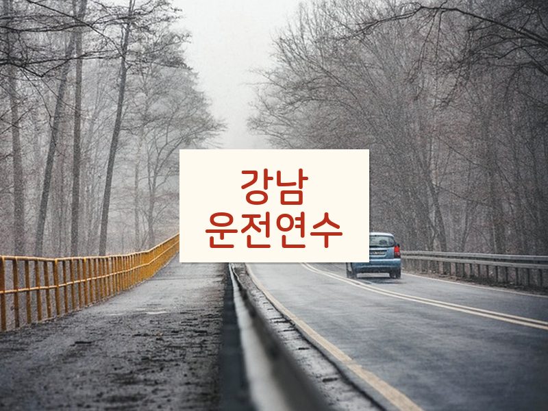 강남운전연수 후기