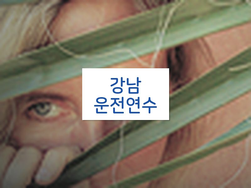 강남운전연수 후기