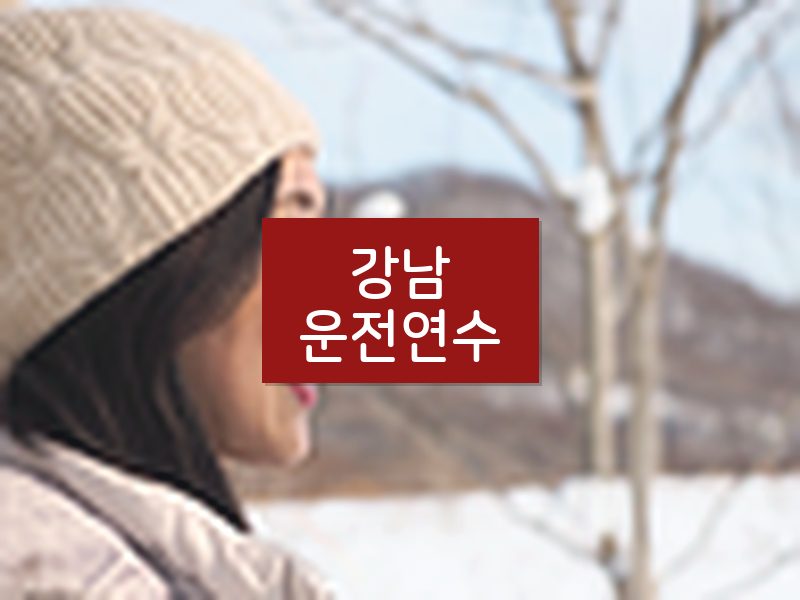 강남운전연수 후기