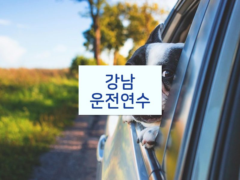 강남운전연수 후기