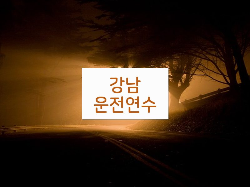 강남운전연수 후기
