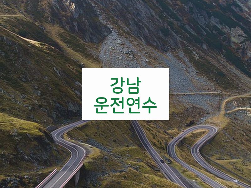 강남운전연수 후기