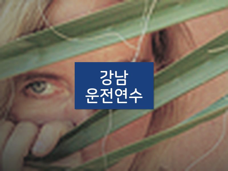 강남운전연수 후기