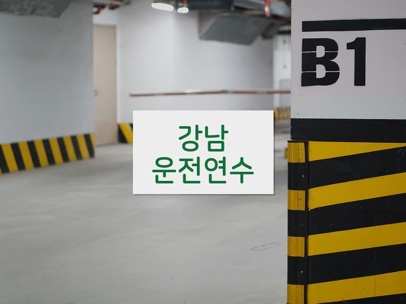 강남운전연수 후기