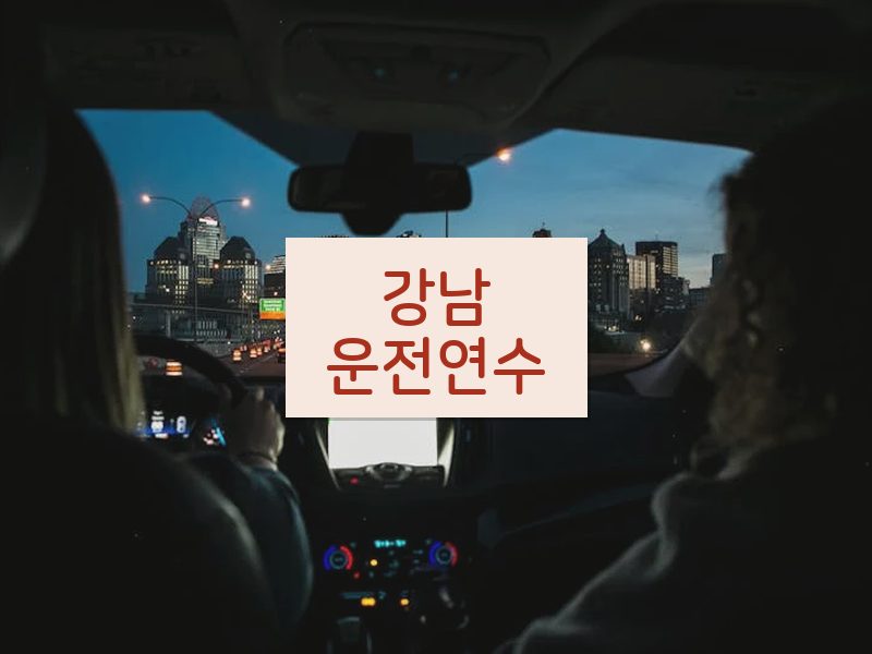 강남운전연수 후기