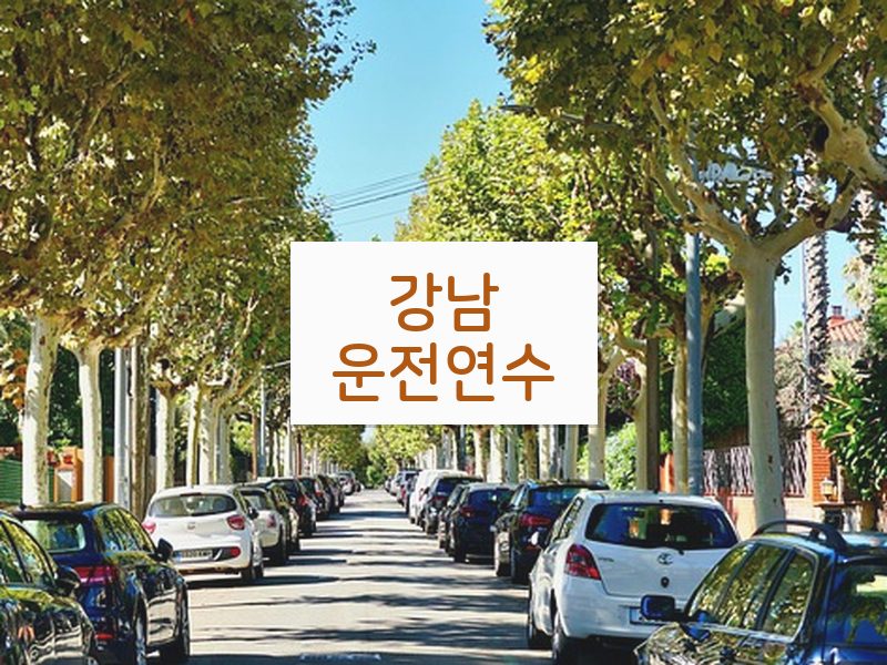 강남운전연수 후기