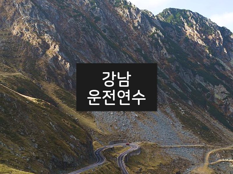 강남운전연수 후기
