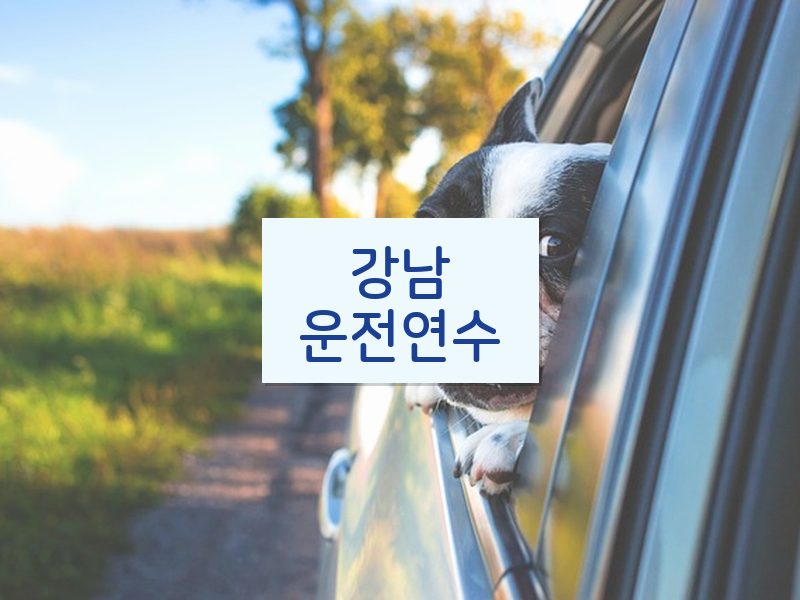 강남운전연수 후기