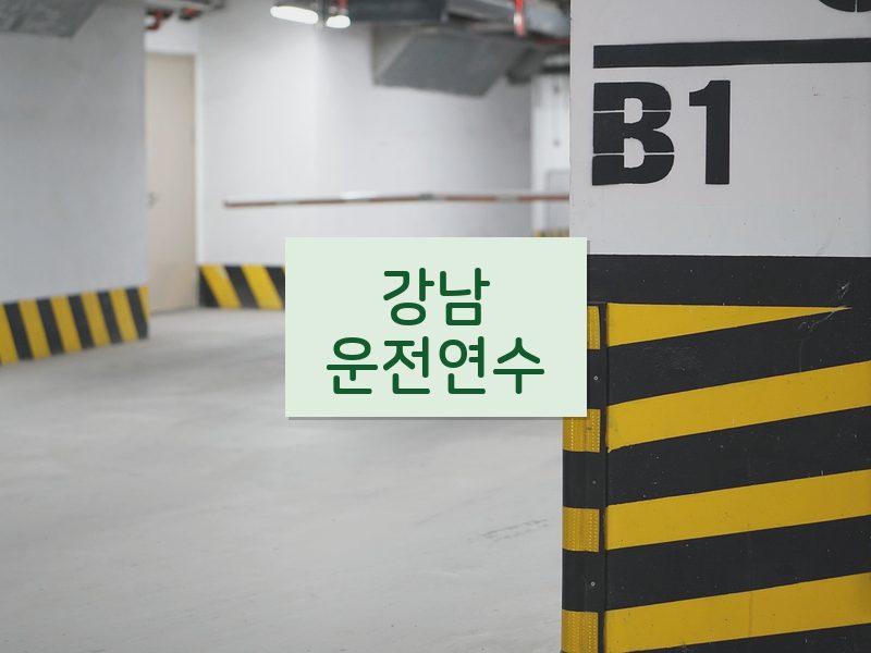 강남운전연수 후기