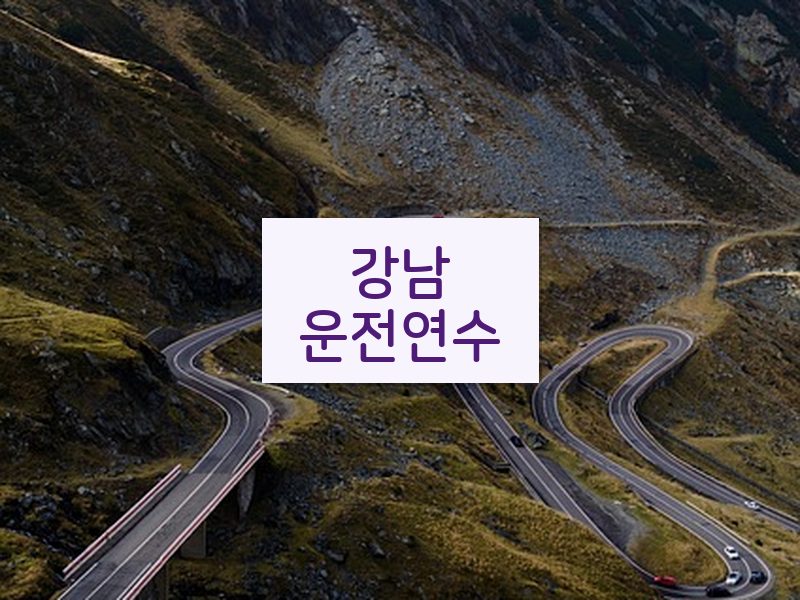 강남운전연수 후기