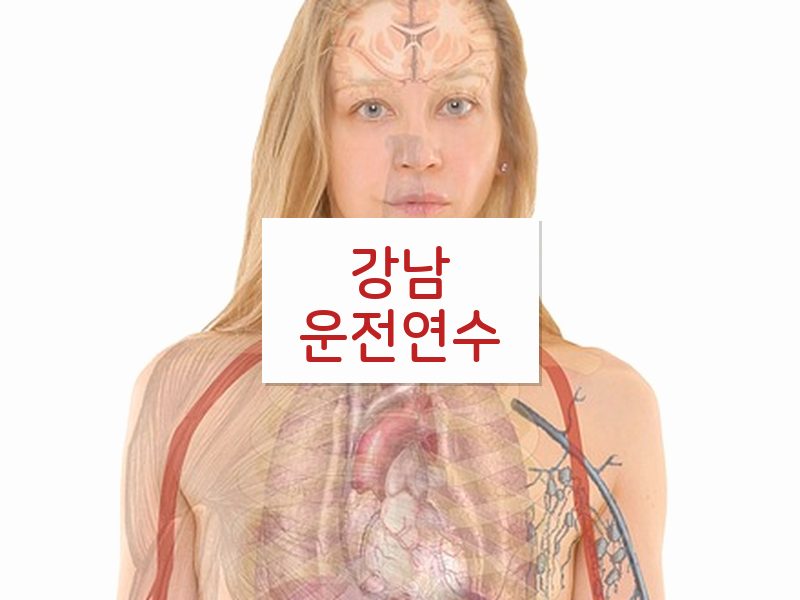 강남운전연수 후기